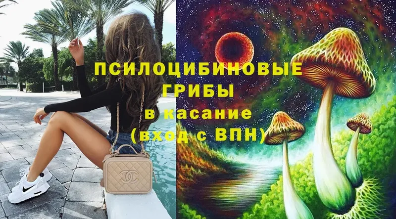 Псилоцибиновые грибы Psilocybine cubensis  купить  сайты  Полысаево 